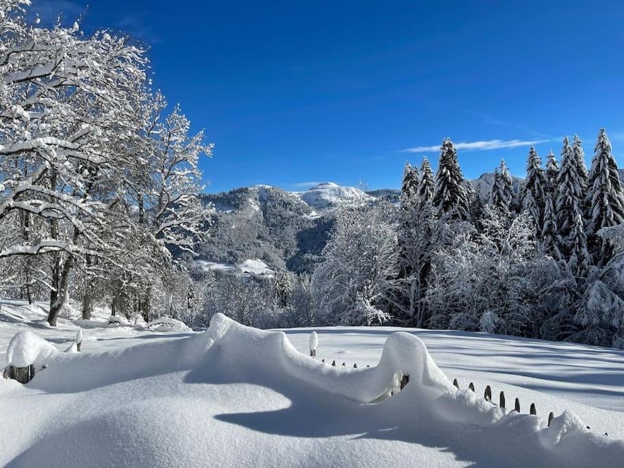 Chalet Alpage Proche Geneve Megevette ภายนอก รูปภาพ