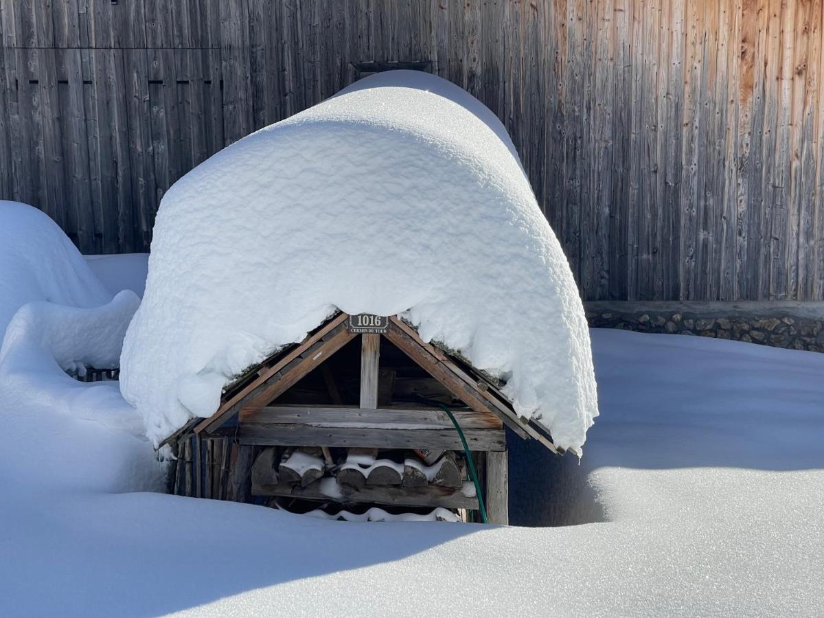 Chalet Alpage Proche Geneve Megevette ภายนอก รูปภาพ