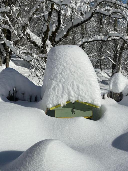 Chalet Alpage Proche Geneve Megevette ภายนอก รูปภาพ