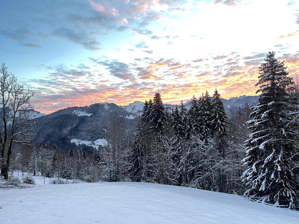 Chalet Alpage Proche Geneve Megevette ภายนอก รูปภาพ
