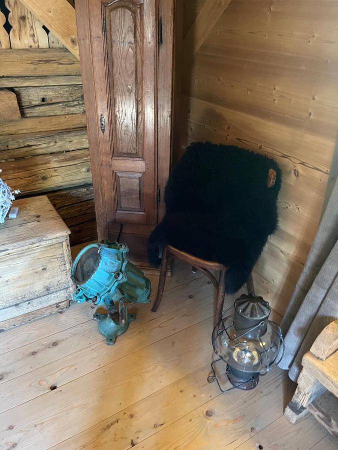 Chalet Alpage Proche Geneve Megevette ภายนอก รูปภาพ